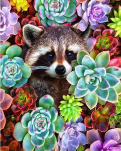Allure - Gifts & Designs Diamond Paintings Raccoon in Succulents - 40cm x 50cm